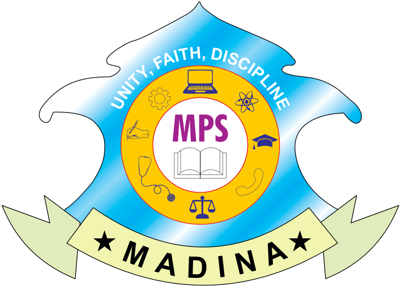 Madina Public School logo